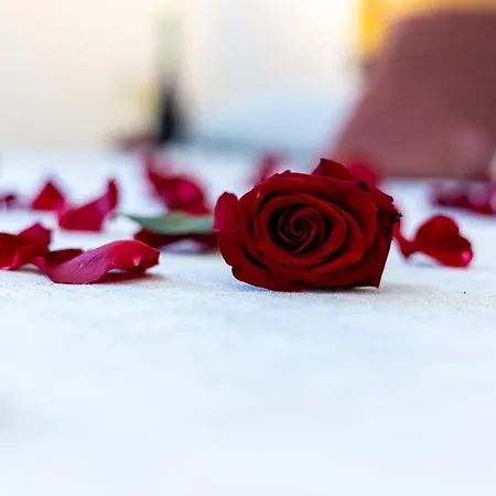 Lucenova Guest-house *