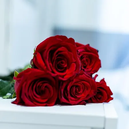 Penzion Lucenova Guest-house