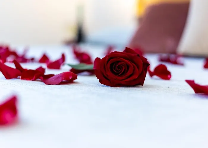 Lucenova Guest-house *